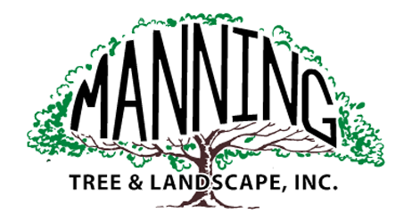 A Professional Job Every Time. A Professional Job Every Time.